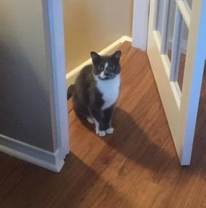 Meet your Posher, Tania